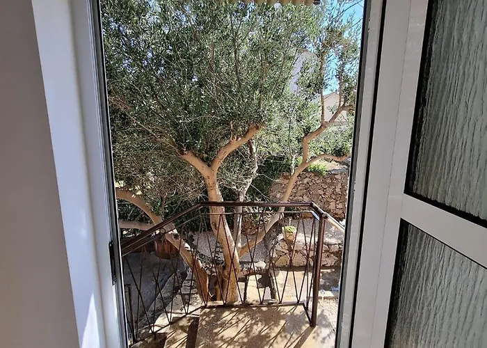 Family House Ivana With Pool Tatil Evi Ražanac